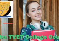 Letaba TVET College Courses