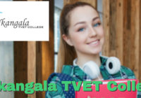 Nkangala TVET College Courses 2026