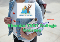 Vhembe TVET College Courses