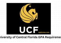 University GPA Requirement