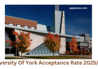 University Of York Acceptance Rate 2025/2026