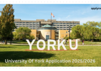 University Of York Application 2025/2026