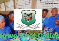 Ingwe Tvet College Bizana