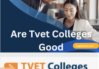 Are Tvet Colleges Good