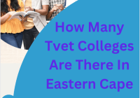How Many Tvet Colleges Are There In Eastern Cape