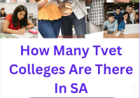 How Many Tvet Colleges Are There In SA