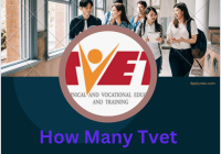 How Many TVET Colleges In Gauteng