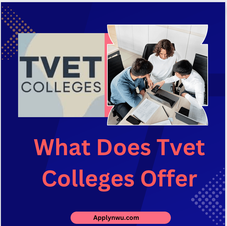 WHICH COURSES DOES TVET COLLEGES OFFER visual data 2