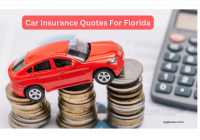 Car Insurance Quotes For Florida