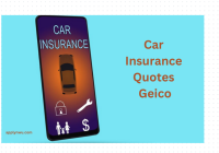 Car Insurance Quotes Geico