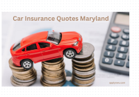 Car Insurance Quotes Maryland