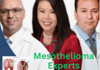 Mesothelioma Experts