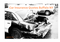 Car Insurance Quotes Buffalo NY