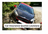 Car Insurance Quotes Louisiana