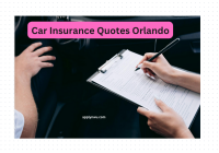 Car Insurance Quotes Orlando