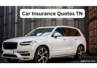 Car Insurance Quotes TN
