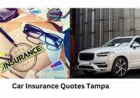 Car Insurance Quotes Tampa